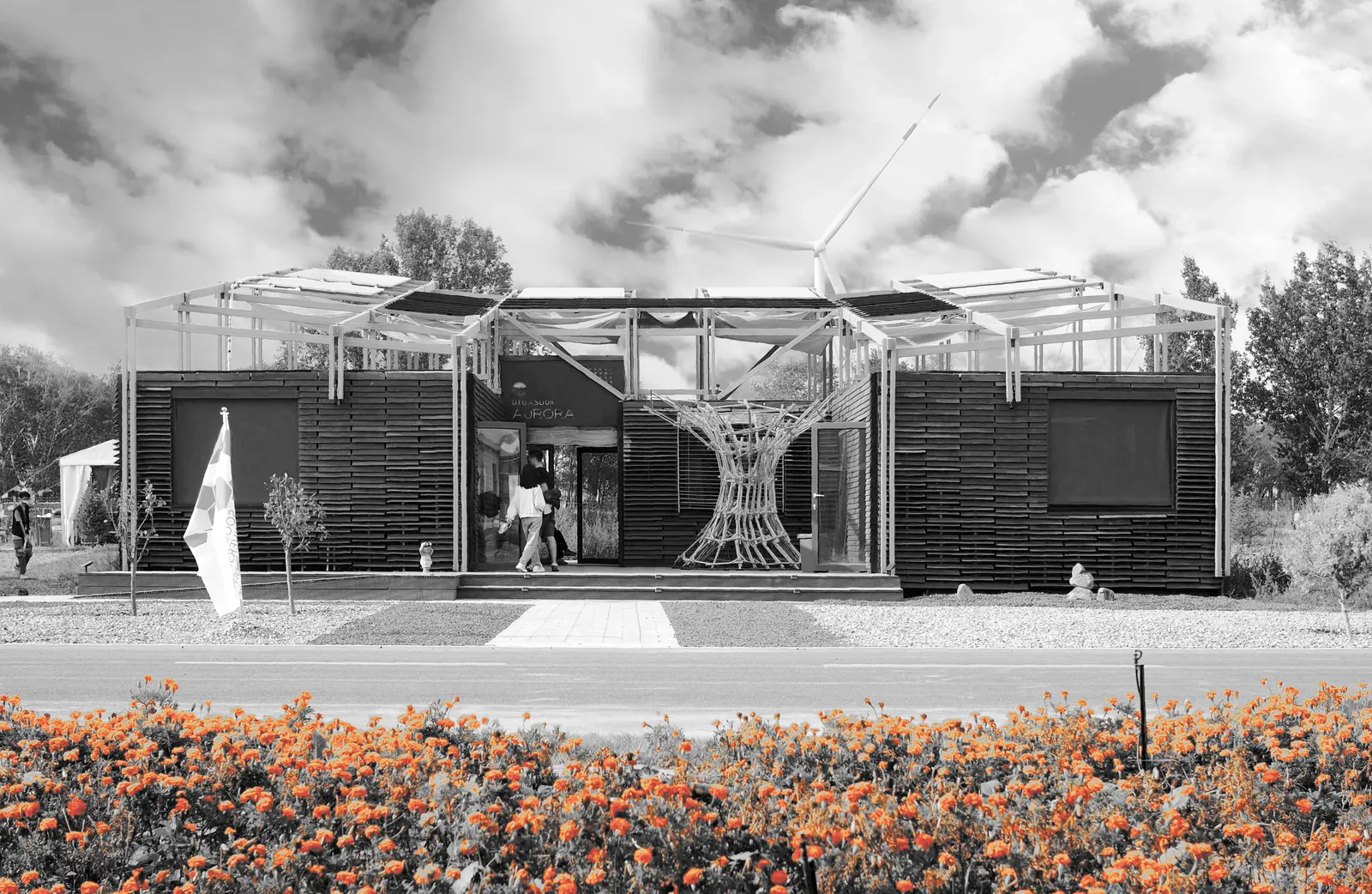 Aurora House: a timber-clad house under a slatted roof, a field of orange flowers in front