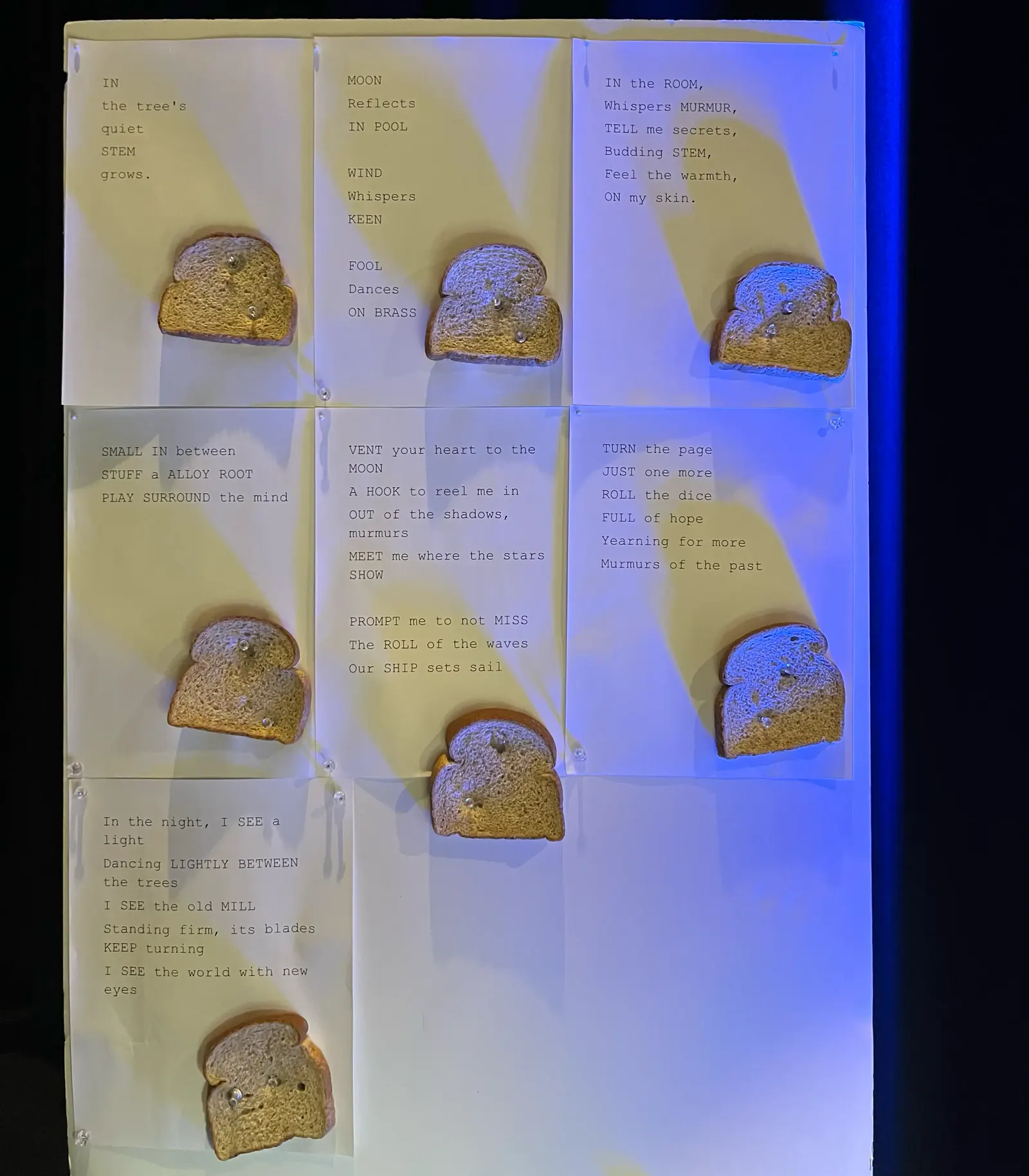 Printed poems pinned to a wall, each with the slice of bread it came from
