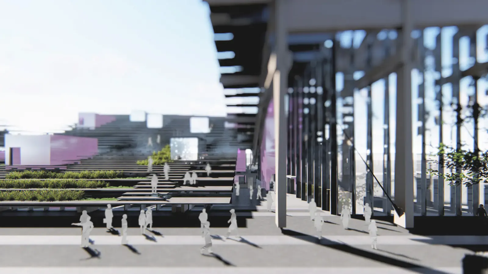 Renderings: the stepped roof, the lounge under the timber beams, a planted hall below