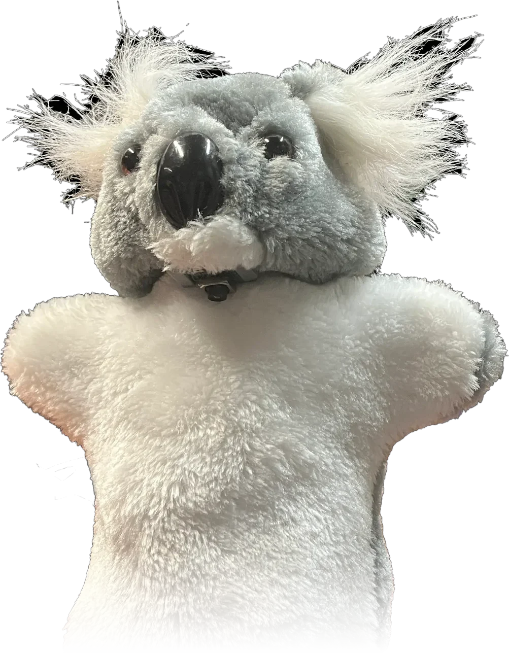 Piko, a koala hand puppet