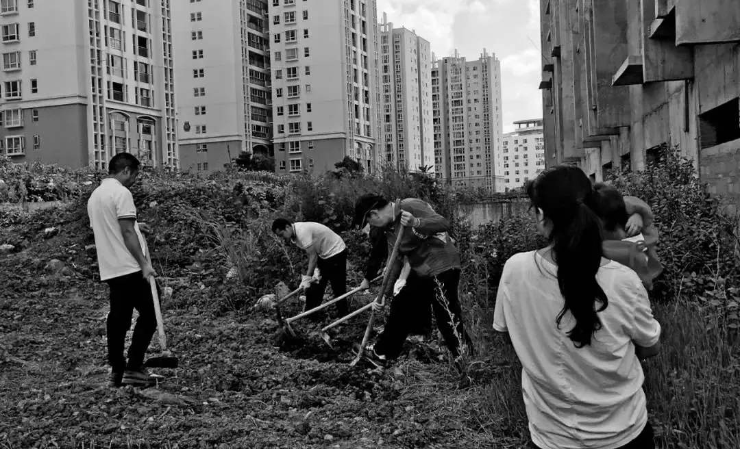 Residents digging a vegetable plot between the towers; a resident by a window boarded with wooden planks